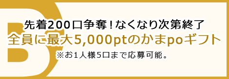 お年玉キャンペーン2027